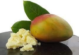 Beurres végétaux_Beurre de mangue 